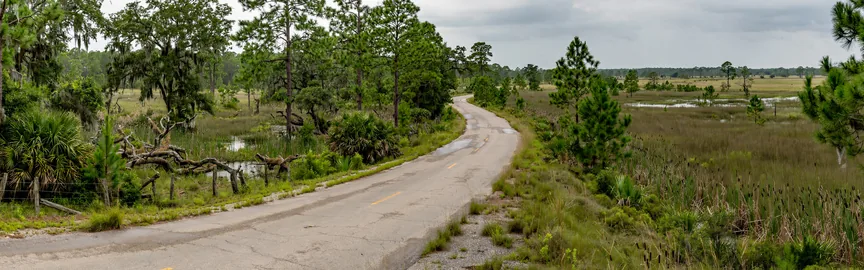 Road Trips from Beaumont, TX: Exploring Southeast Texas and Beyond